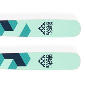 Pellentesque malesuada